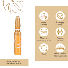 Cargar imagen en el visor de la galería, Proteoglicanos SPF con vitamina C y F